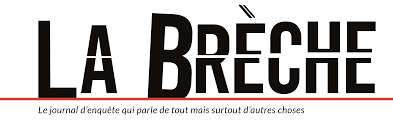 La Br&egrave;che, un journal enqu&ecirc;te sur l'impact des ondes