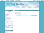 CCARRA : principe de précaution et 0.6 v/m