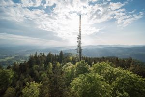 Une nouvelle enqu&ecirc;te: "Equipements &eacute;lectriques et Animaux d&rsquo;&eacute;levage"