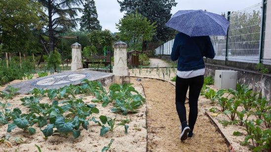 Des ONG, dont Ecologie sans frontières et Générations futures, vont publier des ropositions en matière de santé et d'environnement qu'elles soumettront aux candidats  afp.com/Yohan BONNET