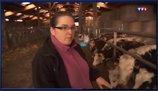 Depuis décembre 2014, le champ électromagnétique d'une antenne-relais perturbait une exploitation de vaches laitières de Normandie. (© Le Pays d'Auge)