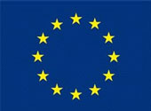 'Préoccupations quant aux effets pour la santé des champs électromagnétiques ' - Résolution adoptée au Parlement européen - 02/04/2009
