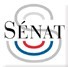 Sénat - Conférence de presse : Antennes-Relais ou la démocratie locale menacée par les conflits d’intérêt - 15/02/2012