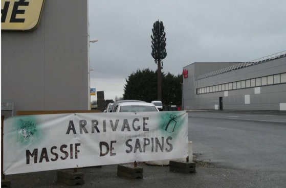 L'antenne relais en forme de pin se fond dans le paysage. |OUEST-FRANCE