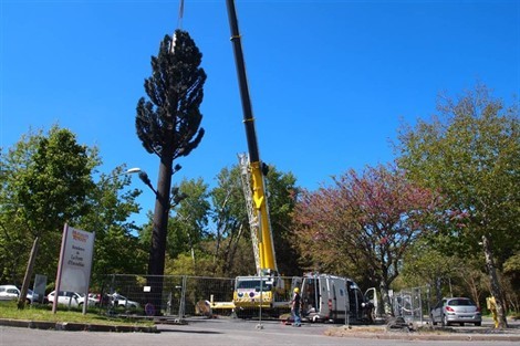 L’antenne-relais en forme d’arbre a été installée à l’aide d’une grue. Ouest France.