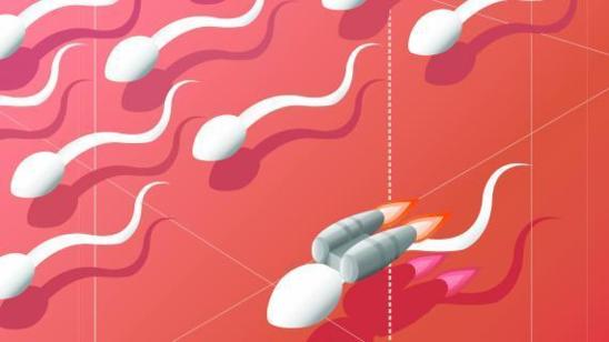 "Pour quelles raisons le sperme fait-il grise mine ?" - FranceTvInfo - 06/12/2012