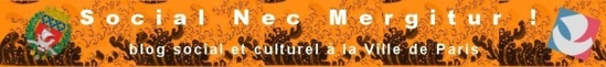 "La RFID dans les bibliothèques : Une technologie plus rapide, plus pratique mais pas moins contraignante." - Blog Social et Culturel de la Ville de Paris - 15/01/2013