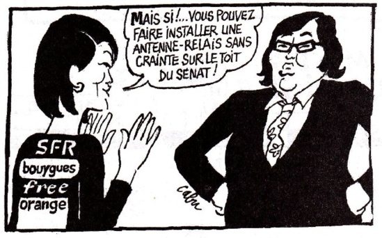 "Les antennes-relais gagnent par K.O." - le Canard Enchaîné - 06/02/2013