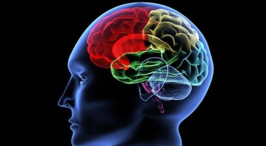 Ondes : « le cerveau vieillira plus vite » - Enviro2B - 10/02/2014