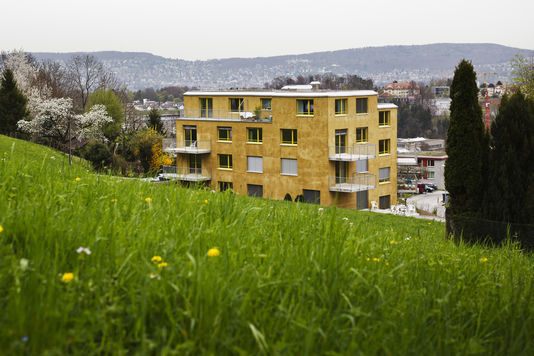Le premier immeuble anti-allergène d’Europe a été achevé en décembre 2013, à Zürich. | AFP/MICHAEL BUHOLZER