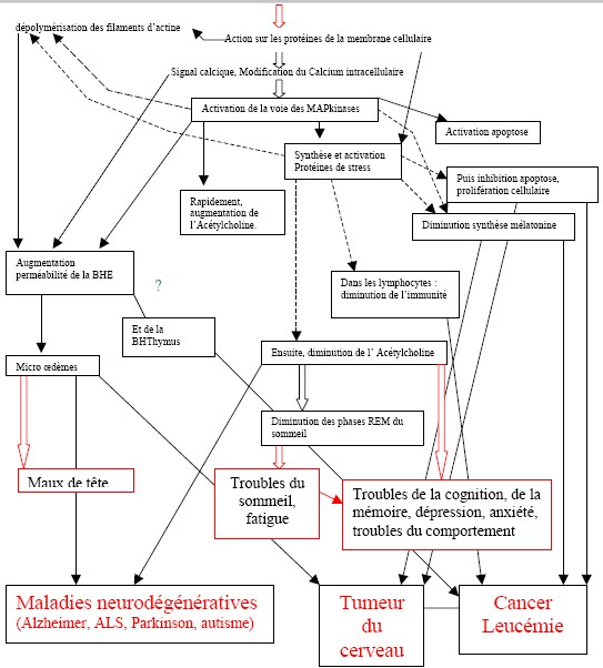 Résumé des mécanismes des champs électromagnétiques - CSIF CEM