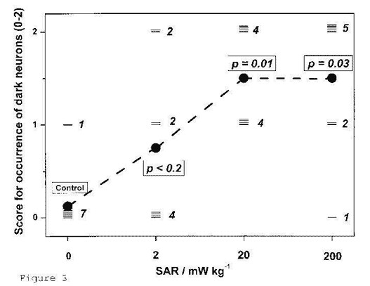 Salford et al. 2003 - 'Dégâts aux cellules nerveuses de cerveaux de mammifères après exposition à des micro-ondes de téléphones mobiles GSM'