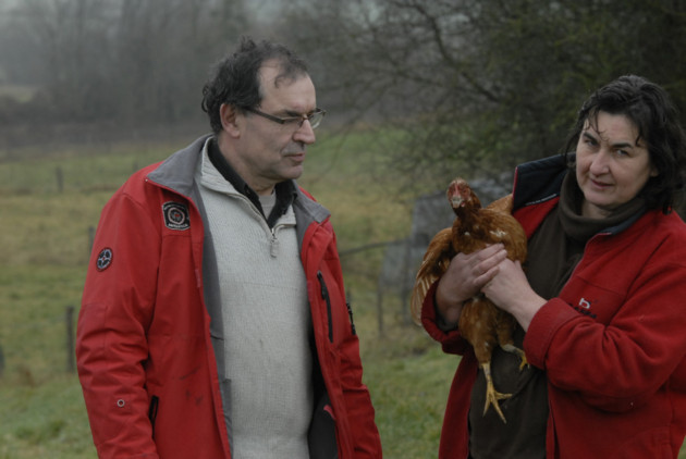 VIDEO : '1.600 poules s'arrêtent de pondre à cause... d'antennes GSM' - La Libre - 04/03/2015
