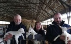 Charente-Maritime : leurs chèvres décimées, ils soupçonnent les ondes d’Enedis - sudouest.fr - 13/12/2019