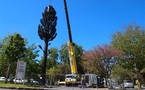 La Baule : une antenne-relais en forme d’arbre ! - Ouest France - 16/05/2012