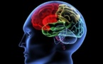 Ondes : « le cerveau vieillira plus vite » - Enviro2B - 10/02/2014
