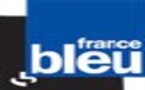 Les risques de la téléphonie mobile (téléphone portable et antenne-relais) sur la santé - France Bleu Alsace 18/03/2008